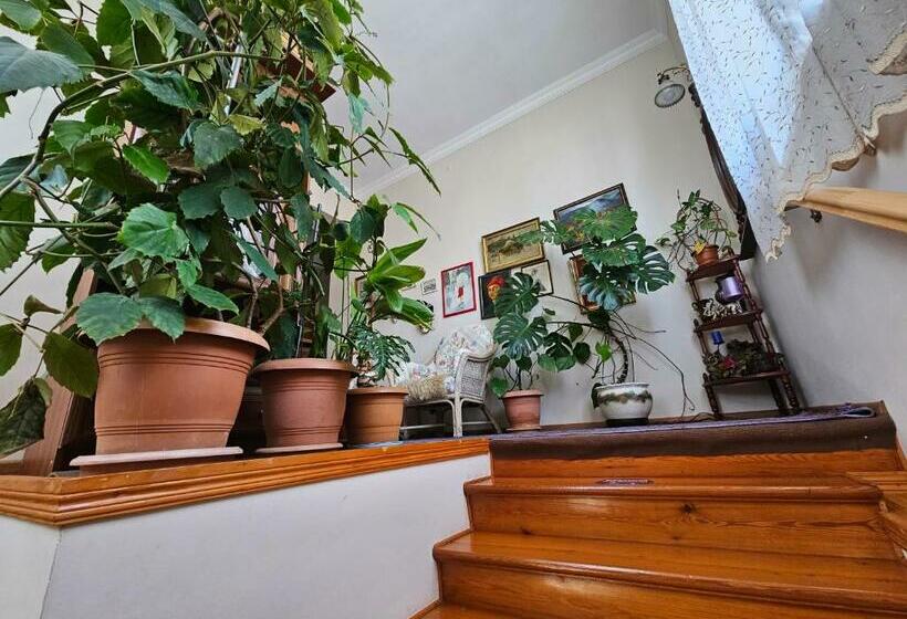 پانسیون Tamari Guest House