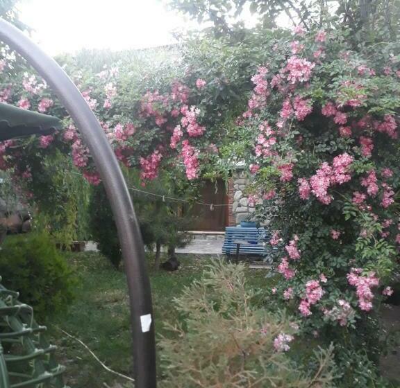 پانسیون Tamari Guest House