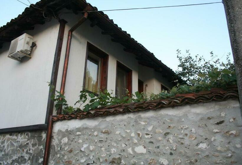 פנסיון Todorova House