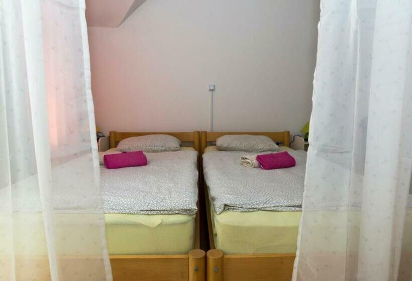 پانسیون Vila šiftar