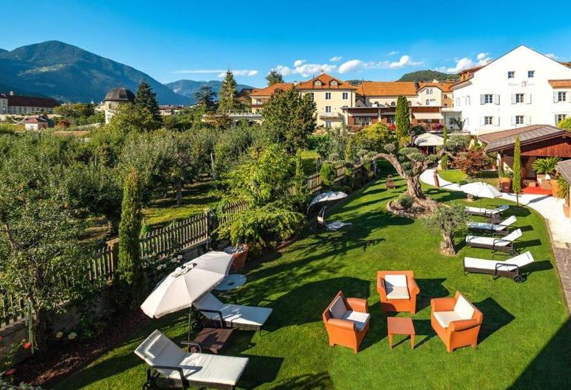 Residence Traube