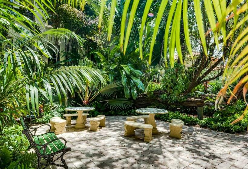 Tropicals Of Palm Beach