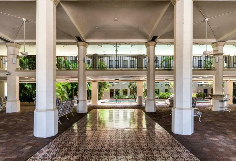 Tropicals Of Palm Beach