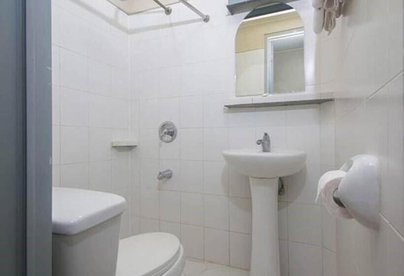 فندق صغير New Dawn Pensionne House