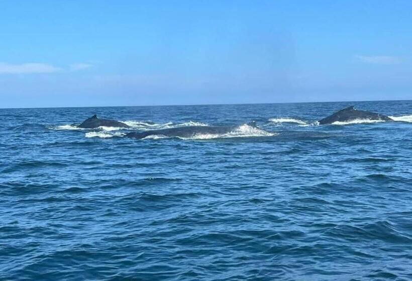 旅馆 Nómada Del Mar Máncora   Playa & Piscina