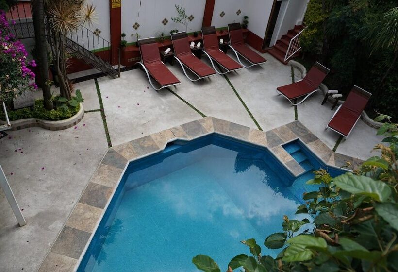 ユースホステル Posada Ali Tepoztlan By Rotamundos