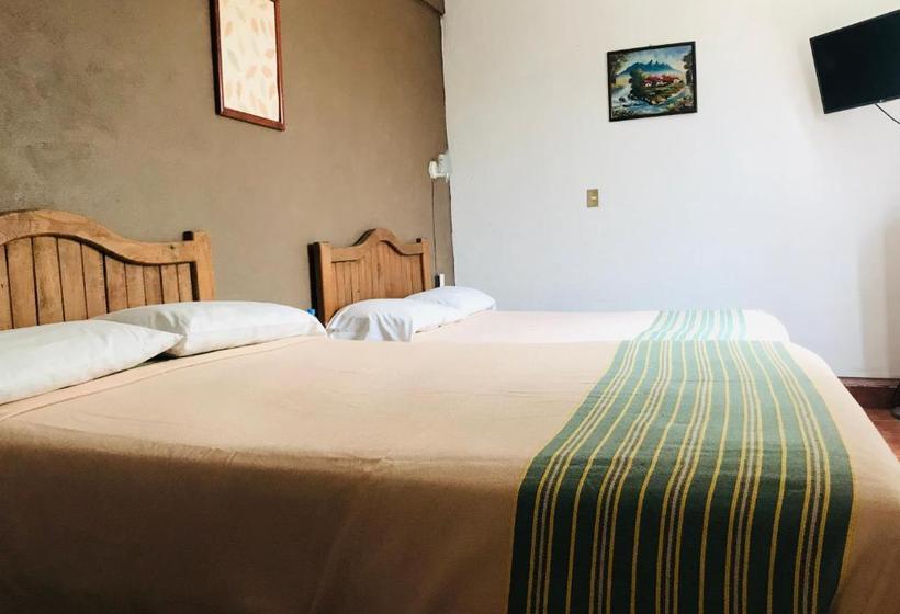 ユースホステル Posada Temazcal Santo Domingo