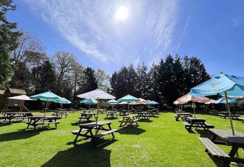 旅馆 The King S Head