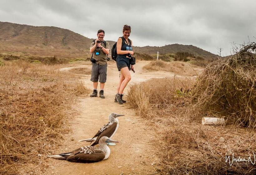 هاستل Whale House