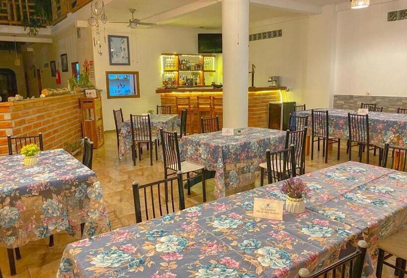 هاستل Whale House