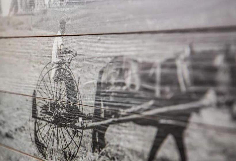 Apartments Chalet Maria