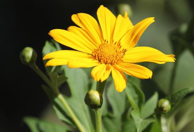 Big Valley Hotel Fazenda