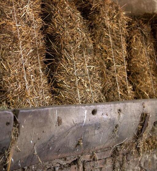 Отель Agriturismo Il Girasole