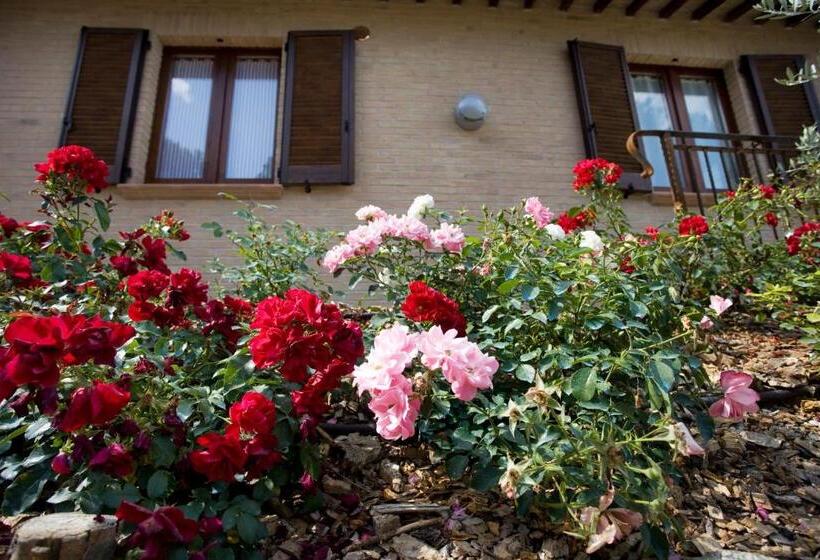 Отель Agriturismo Il Girasole