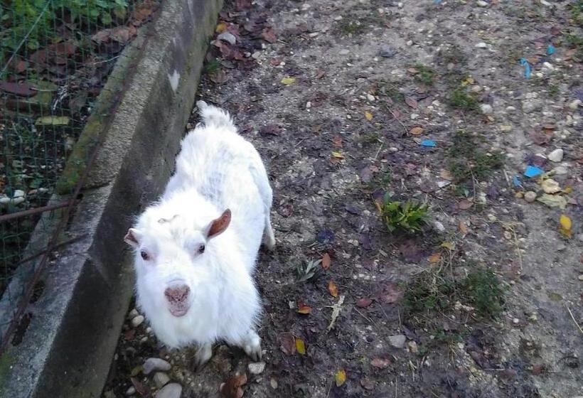 Отель Agriturismo La Rosa Montefalco