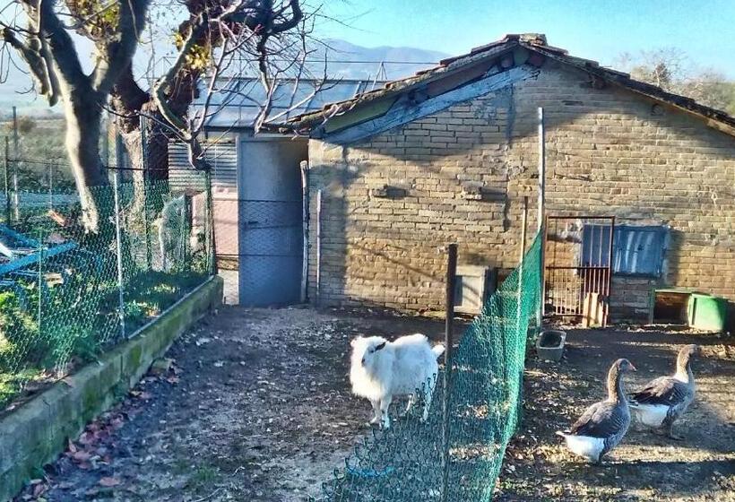 Отель Agriturismo La Rosa Montefalco