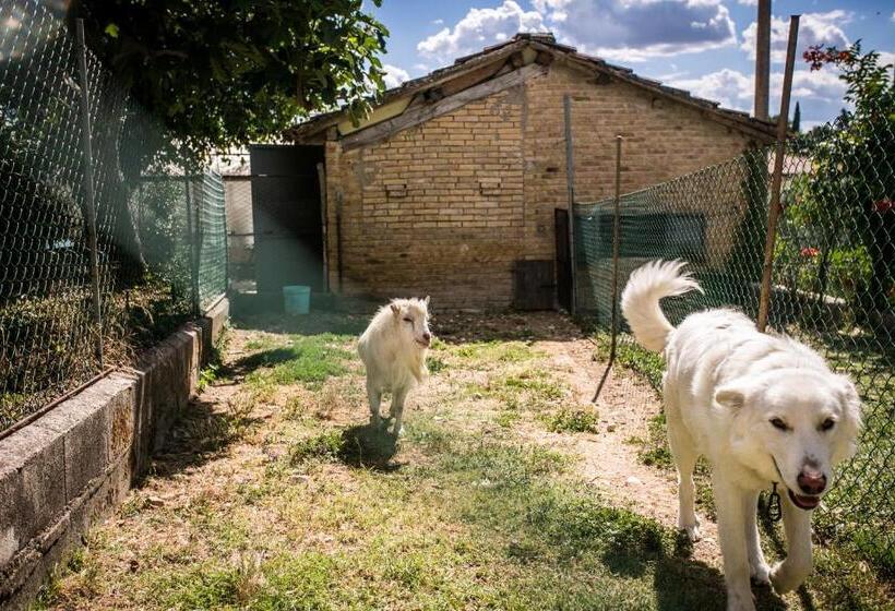 Отель Agriturismo La Rosa Montefalco
