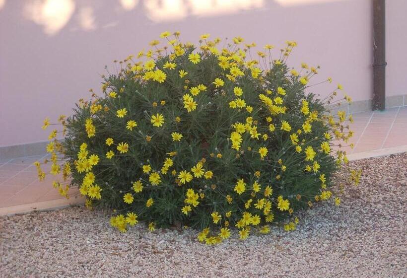 Отель Agriturismo La Rosa Montefalco