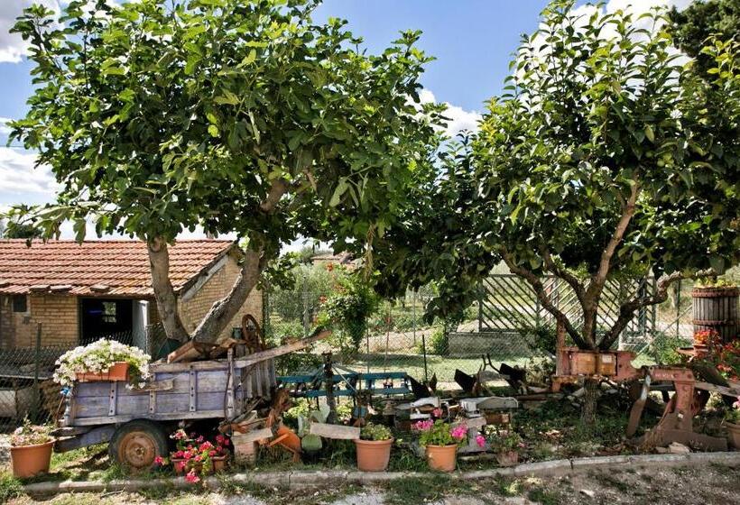 Отель Agriturismo La Rosa Montefalco