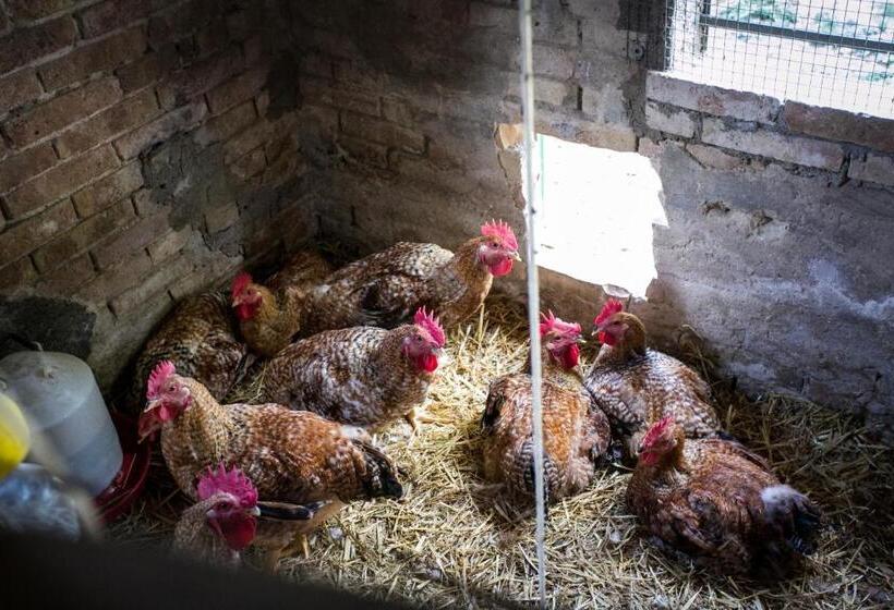 Отель Agriturismo La Rosa Montefalco