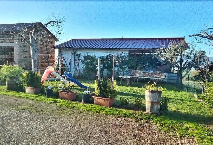 Отель Agriturismo La Rosa Montefalco