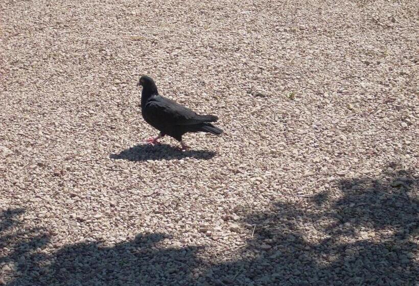 Отель Agriturismo La Rosa Montefalco