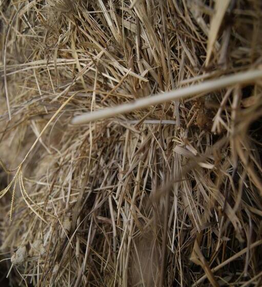 酒店 Agriturismo La Valbona