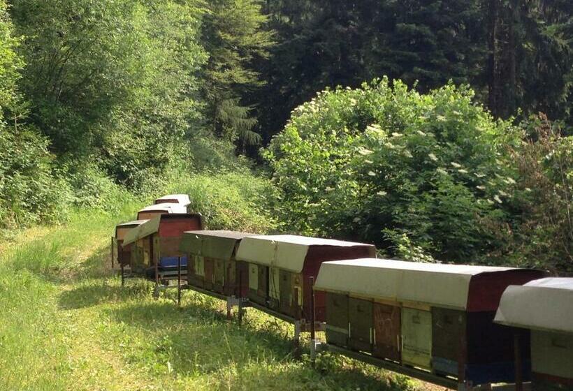 فندق Agriturismo Maso Grener