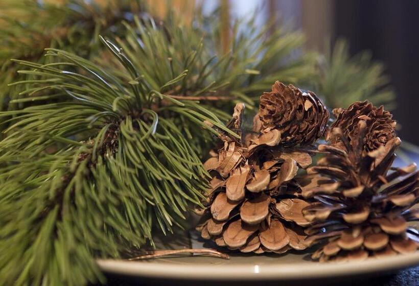 Отель Garni Broi   Charme & Relax