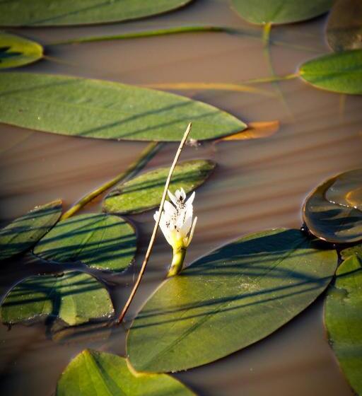فندق Kweekkraal Guest Farm