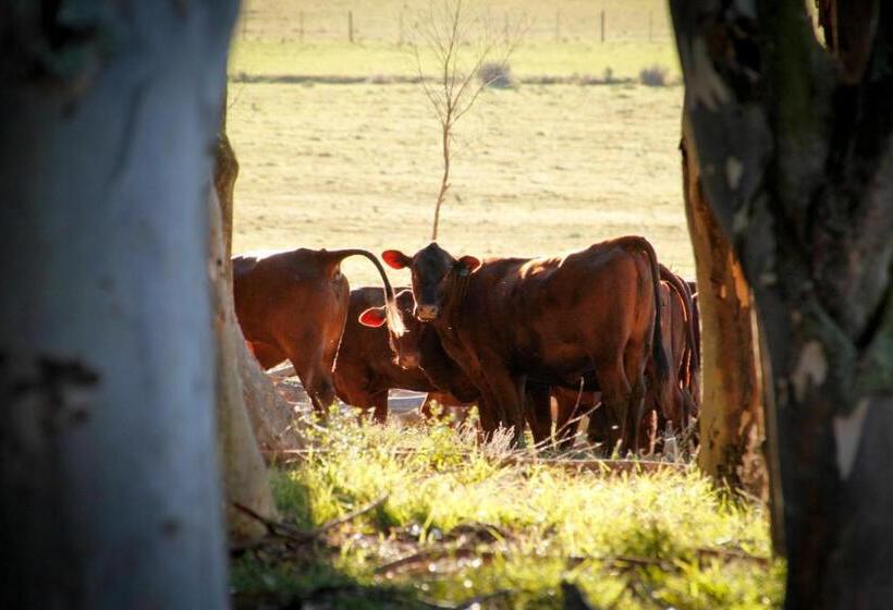 فندق Kweekkraal Guest Farm