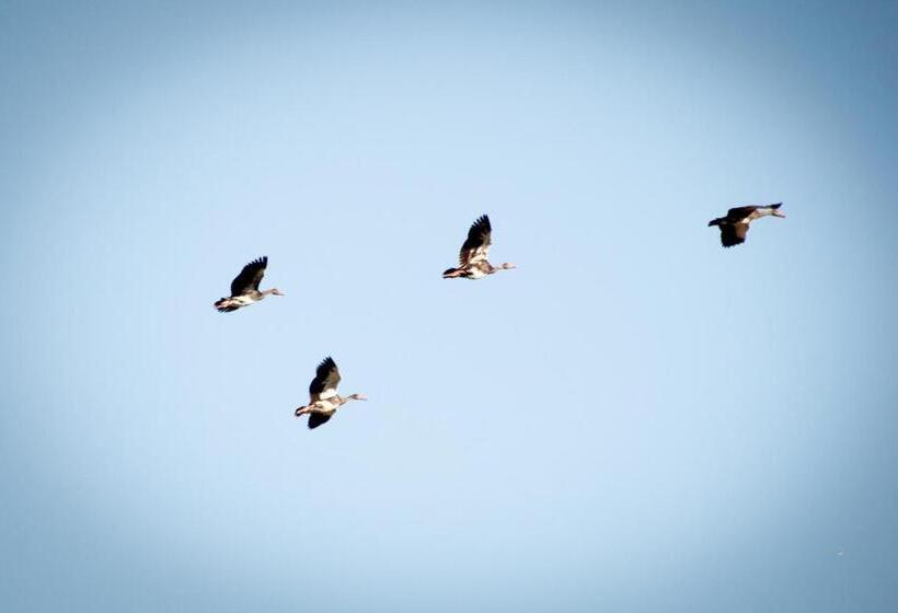 فندق Kweekkraal Guest Farm