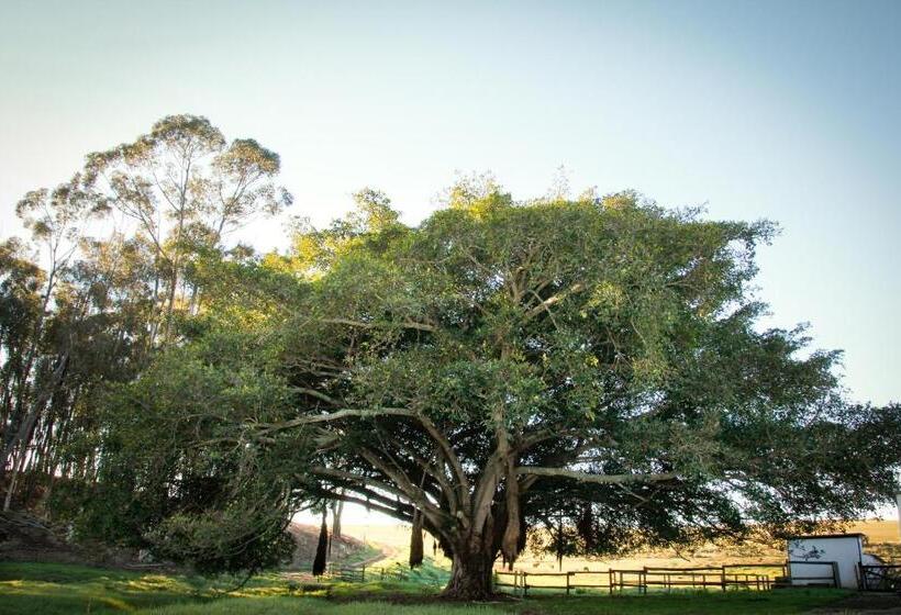 فندق Kweekkraal Guest Farm