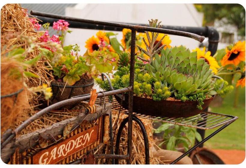 فندق Kweekkraal Guest Farm