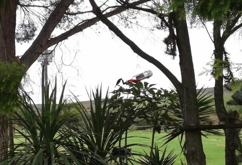 فندق Kweekkraal Guest Farm