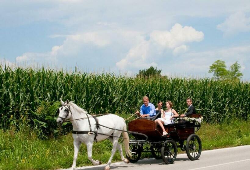 ホテル Lataria Dei Magredi