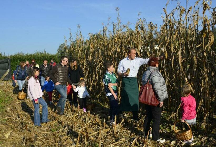 ホテル Lataria Dei Magredi