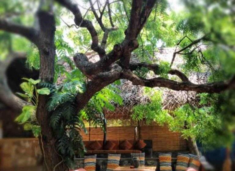 酒店 Surf N Sun Arugam Bay