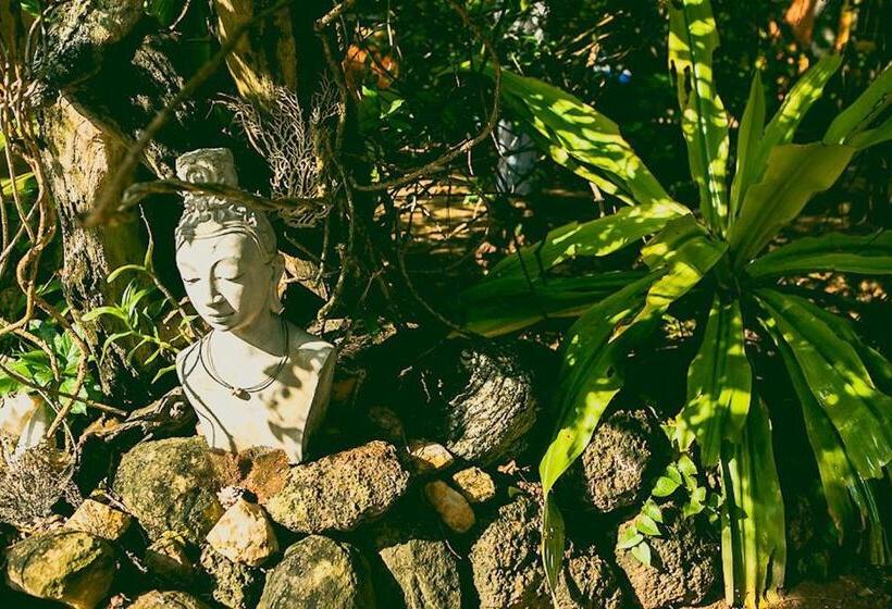 酒店 Surf N Sun Arugam Bay