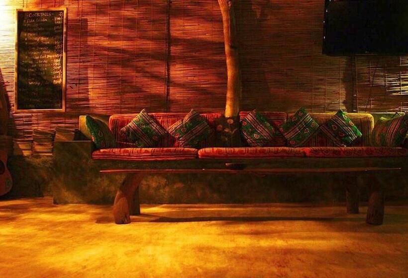 酒店 Surf N Sun Arugam Bay