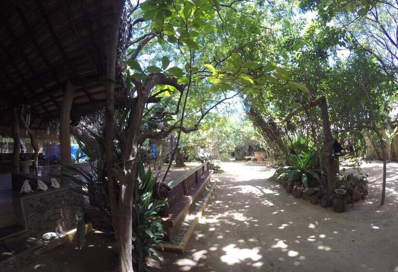 酒店 Surf N Sun Arugam Bay