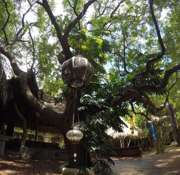 酒店 Surf N Sun Arugam Bay