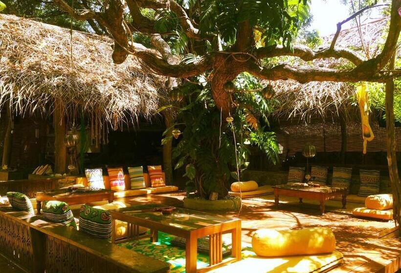 酒店 Surf N Sun Arugam Bay