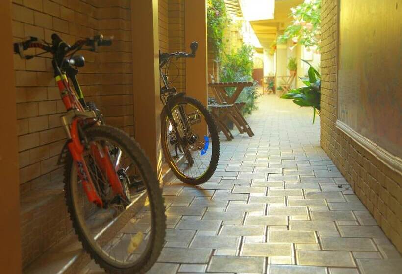 Пансион Alyans Guest House