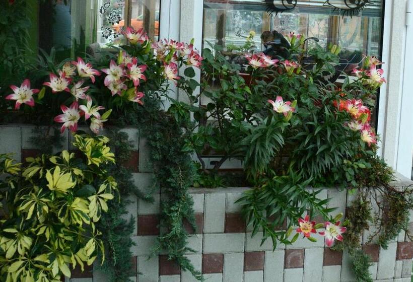 پانسیون Apartmani Banja Spa