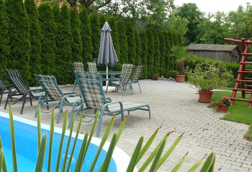 펜션 Barackvirág Vendégház