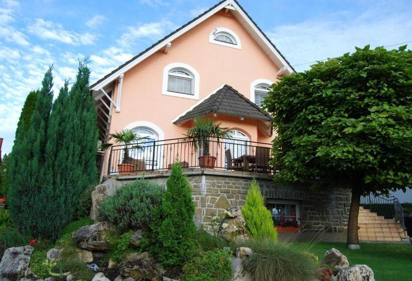 펜션 Barackvirág Vendégház