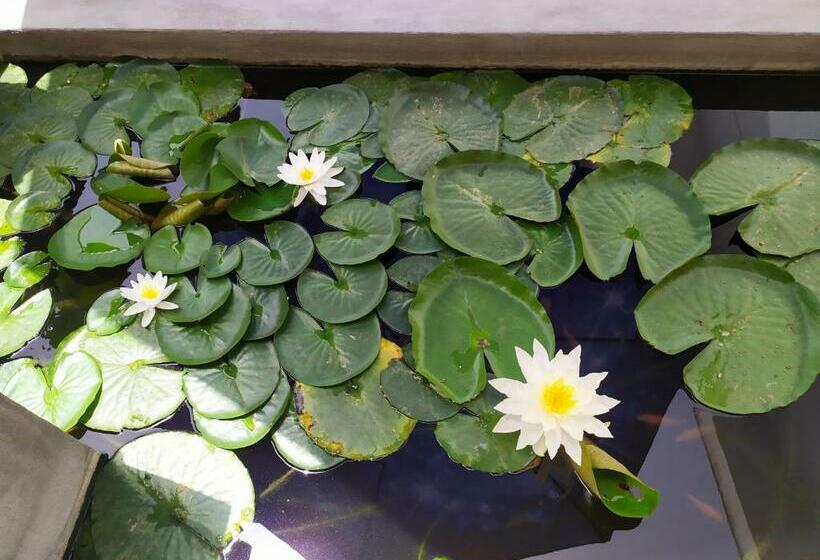 بنسيون B&b Luna Blu