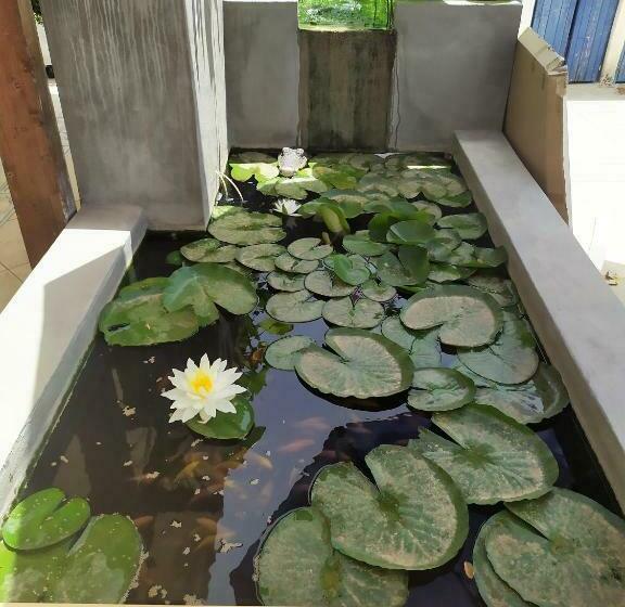 بنسيون B&b Luna Blu