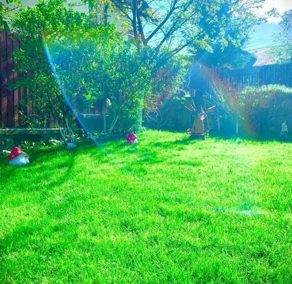 Пансион Casa Ador